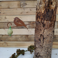 roodborstje met voederhaak